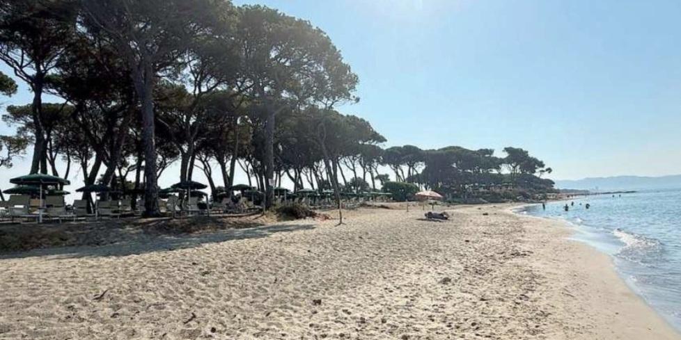 
	Uno scorcio del litorale

