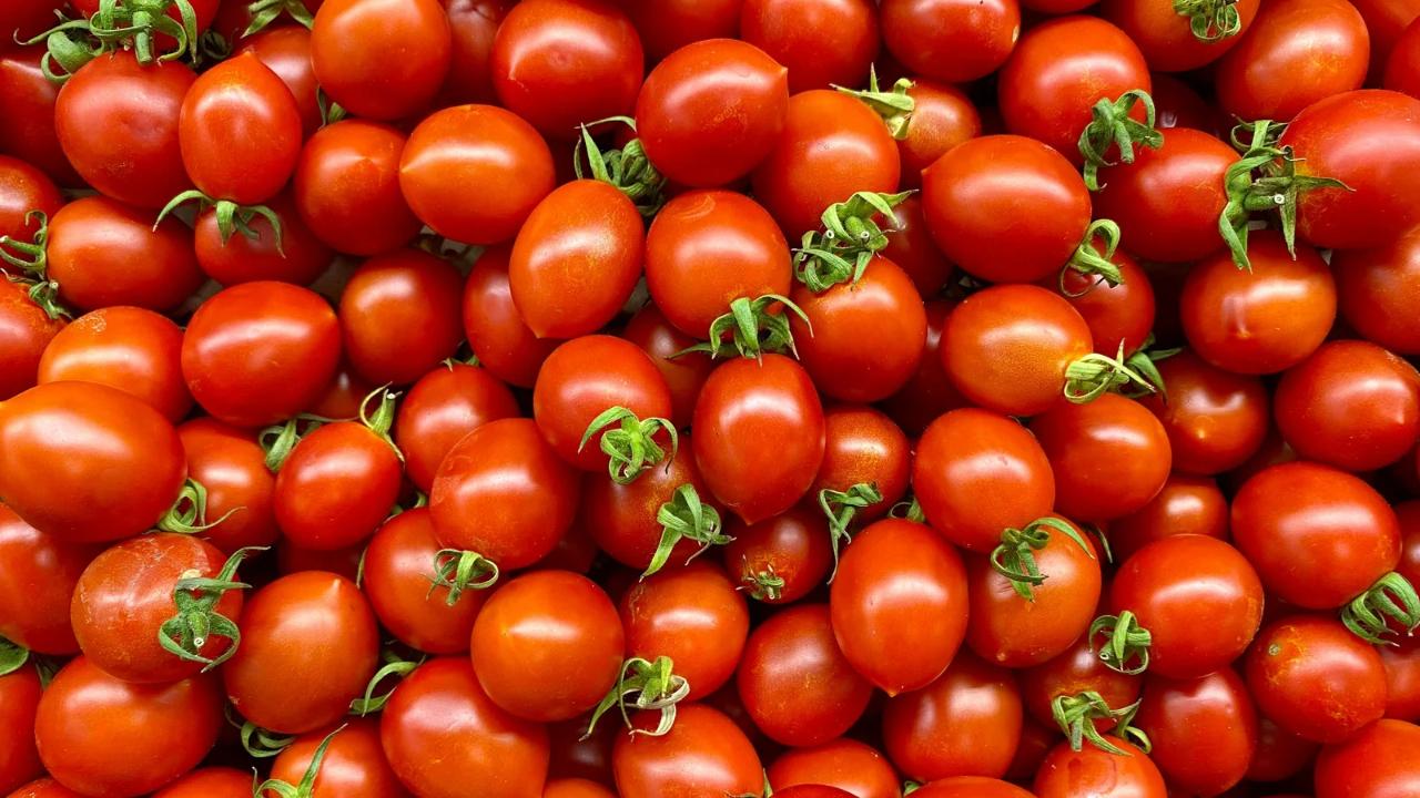 Allarme per la Salmonella nei pomodori