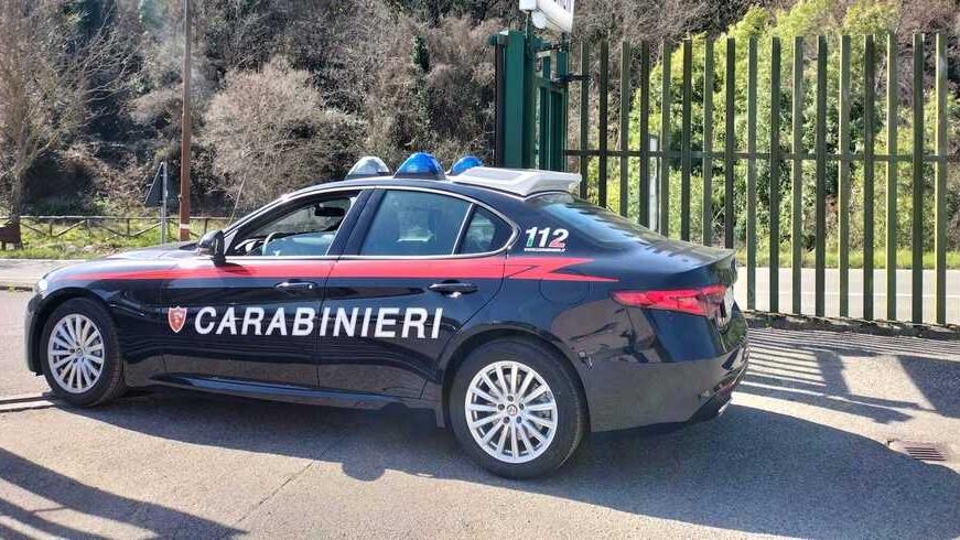Carabinieri in azione (foto archivio)