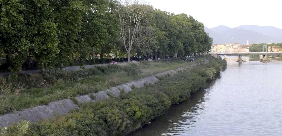 Pisa, raffica di multe alle auto sul lungarno Leopardi: «Non tutte erano sul tratto riservato alle bici»