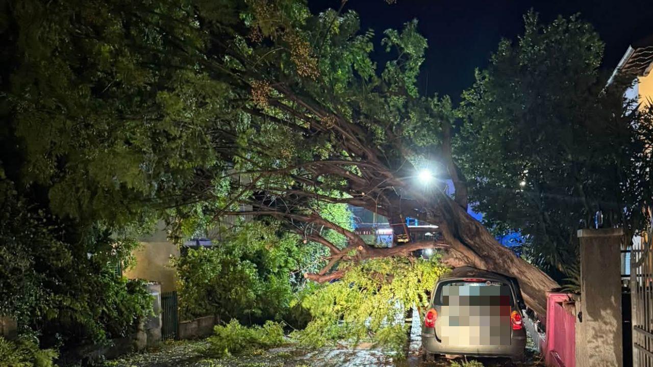 Maltempo in Toscana, albero cade su un’auto a Castiglioncello: allagamenti e disagi in Versilia