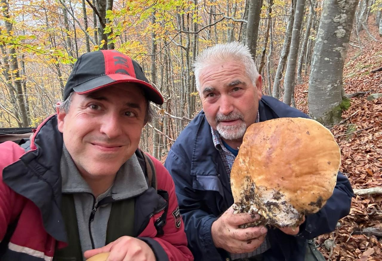 
	Il porcino gigante trovato dai due amici

