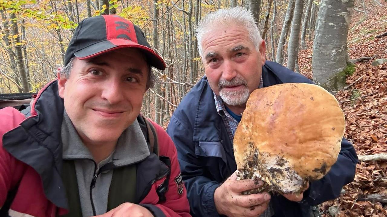 Il porcino gigante trovato dai due amici