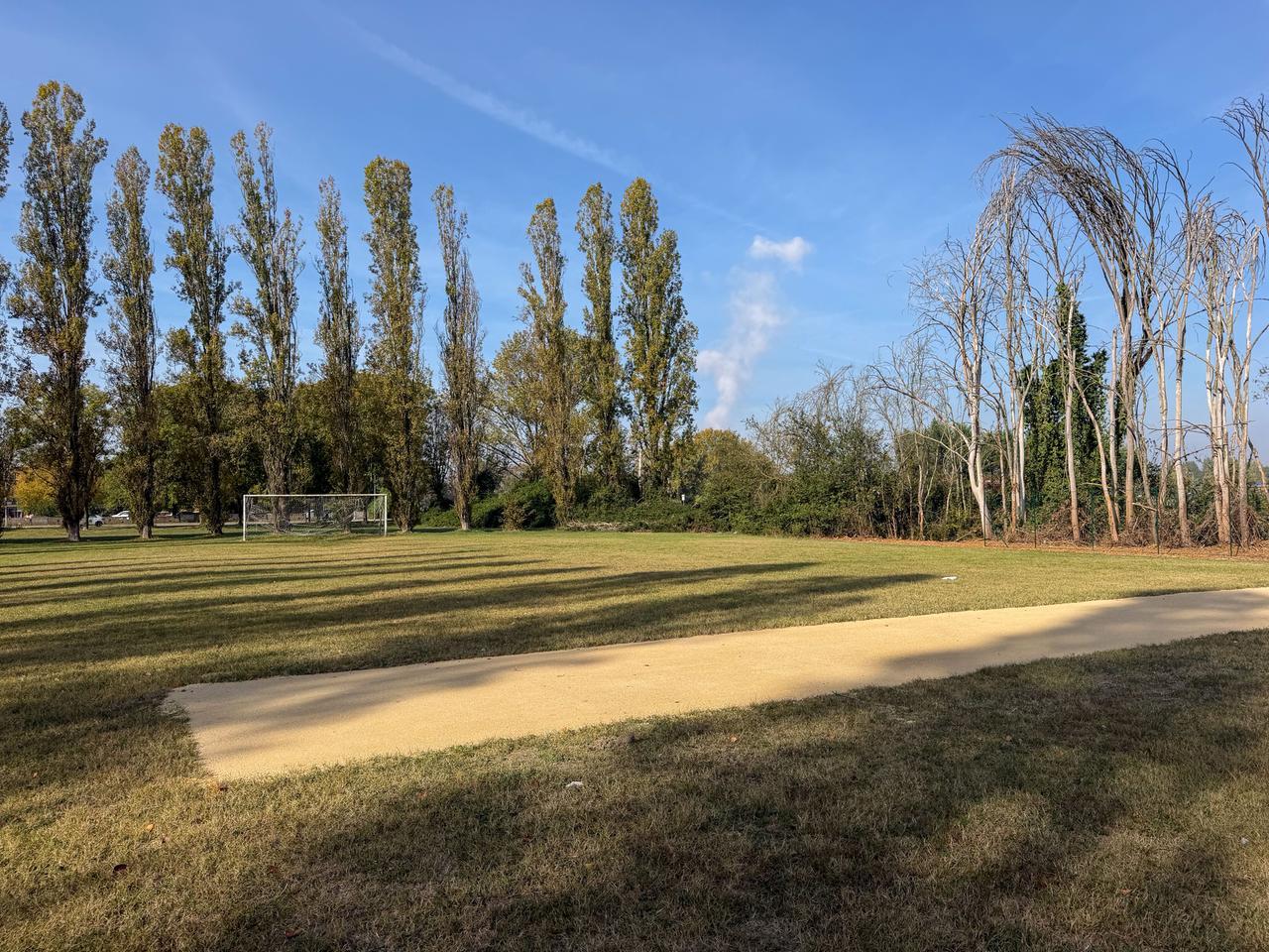 Ferrara, asfalto per il cricket ai Tre campi: pioggia di critiche bipartisan