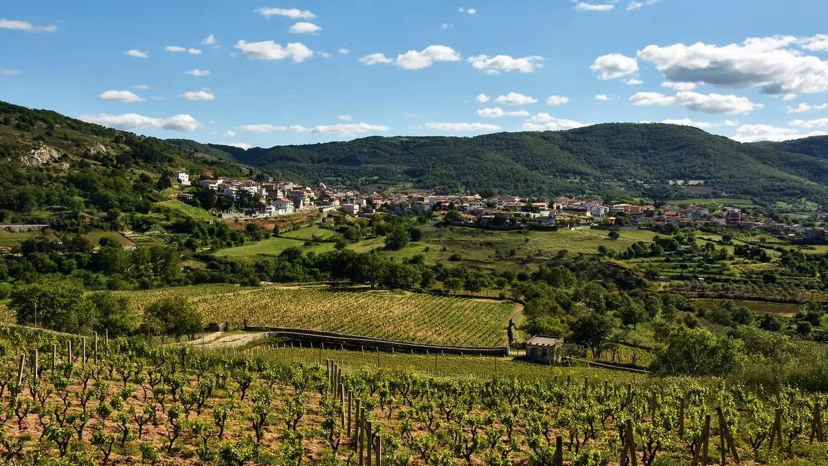 Il vino rilancia Mamoiada e frena lo spopolamento