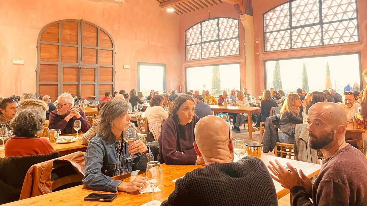 Terricciola, cantine aperte e degustazioni gratuite il 7-8 novembre: torna “In Cantina” – Orari e dettagli