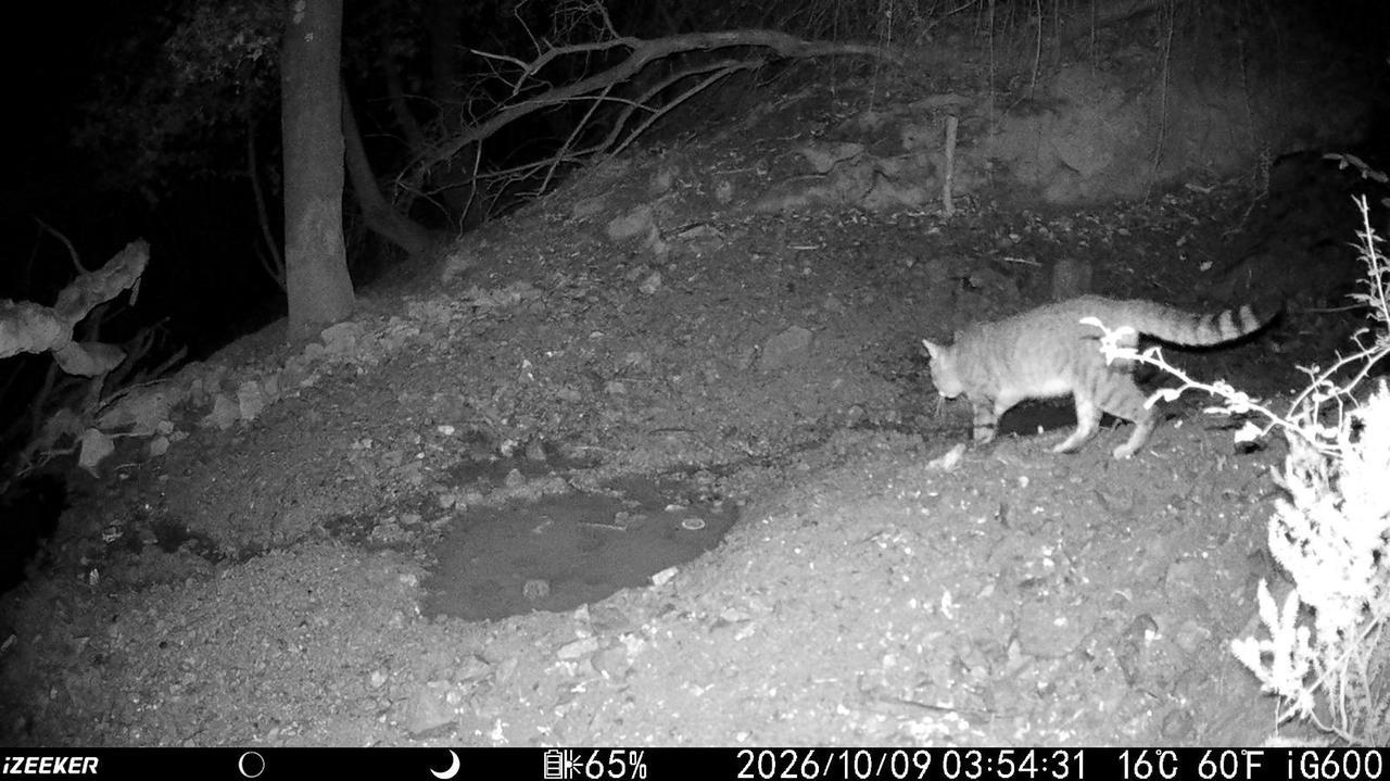 
	Foto e video Wwf Sardegna

