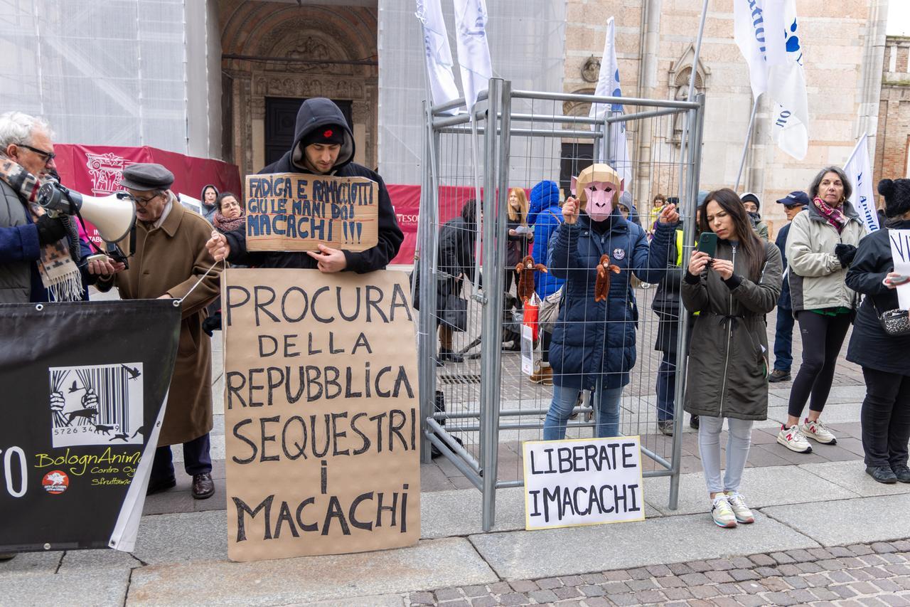 Macachi di Unife, il caso resta aperto: indagine sul trasferimento degli animali in Spagna