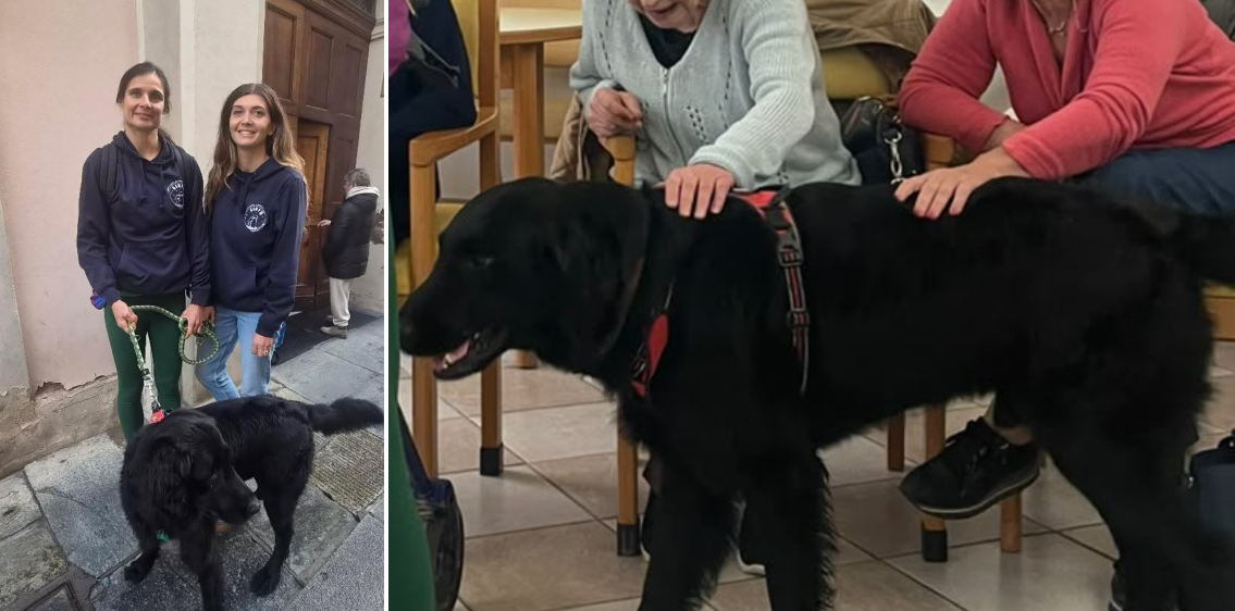 Pet therapy alla casa di riposo Parisetti: così il cane Sirio risveglia ricordi ed emozioni