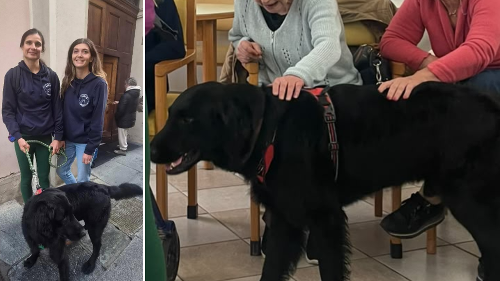 Pet therapy alla casa di riposo Parisetti: così il cane Sirio risveglia ricordi ed emozioni