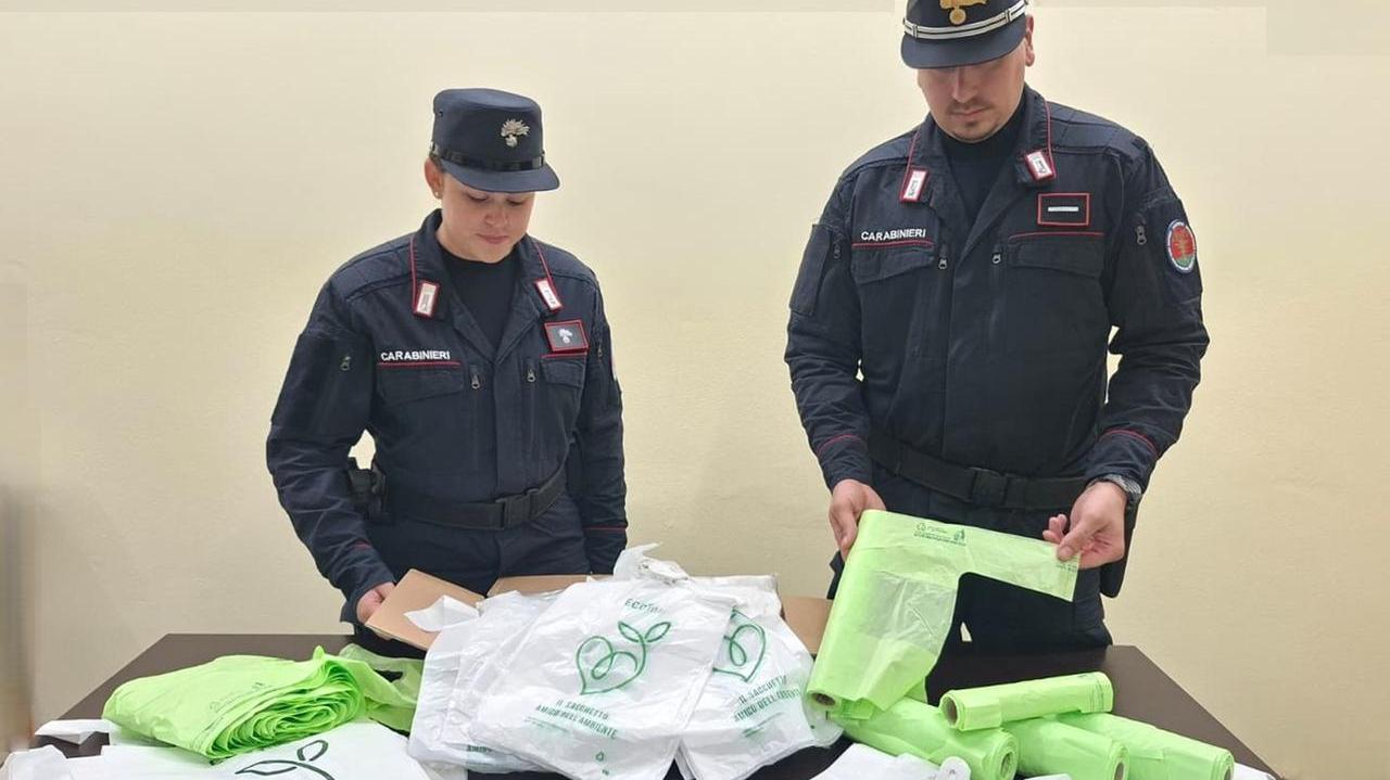 Ostellato, Voghiera e Masi Torello: controlli straordinari sul territorio