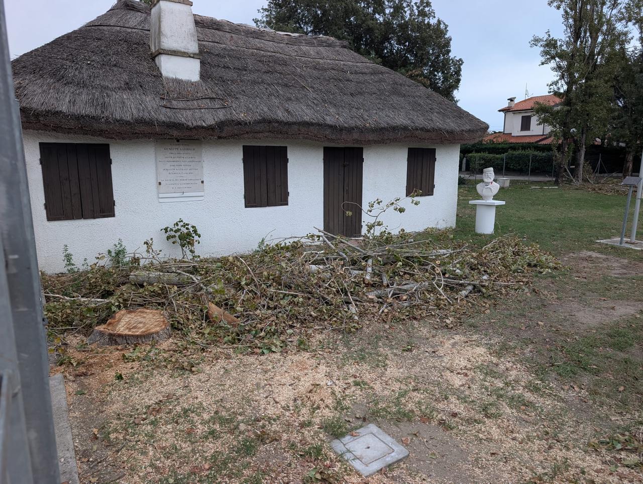 Lido Nazioni, abbattuti gli alberi al Capanno Garibaldi: la gente si divide