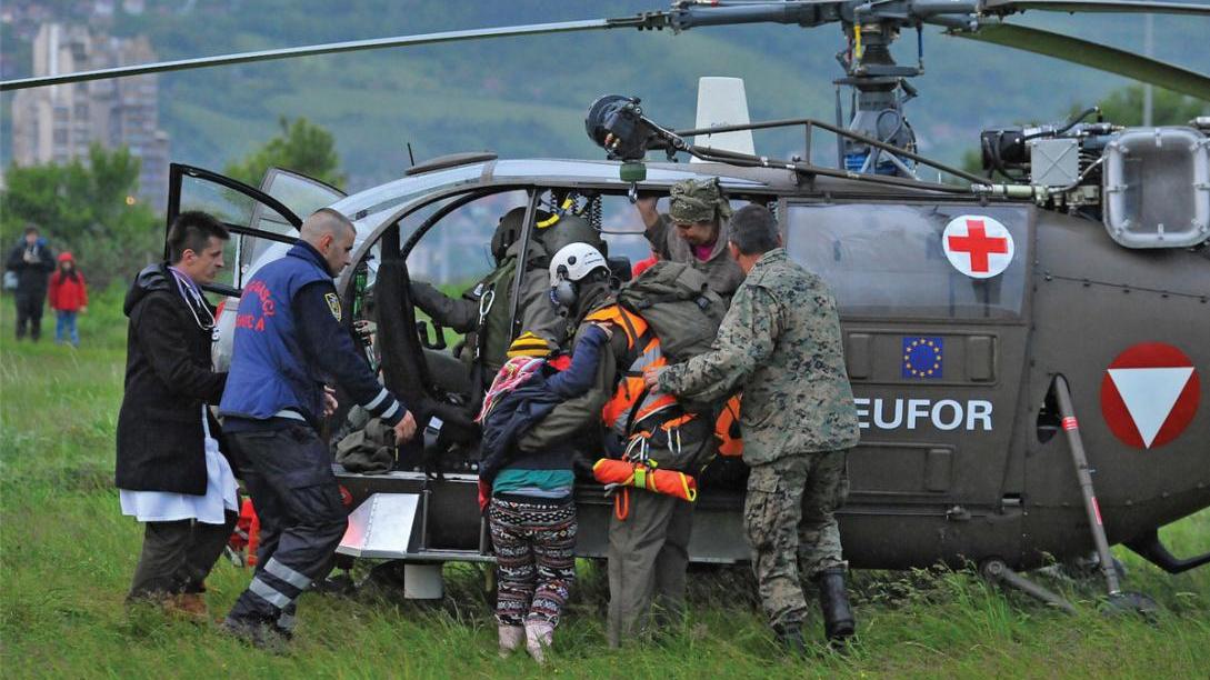 Eufor Althea - immagine d'archivio 