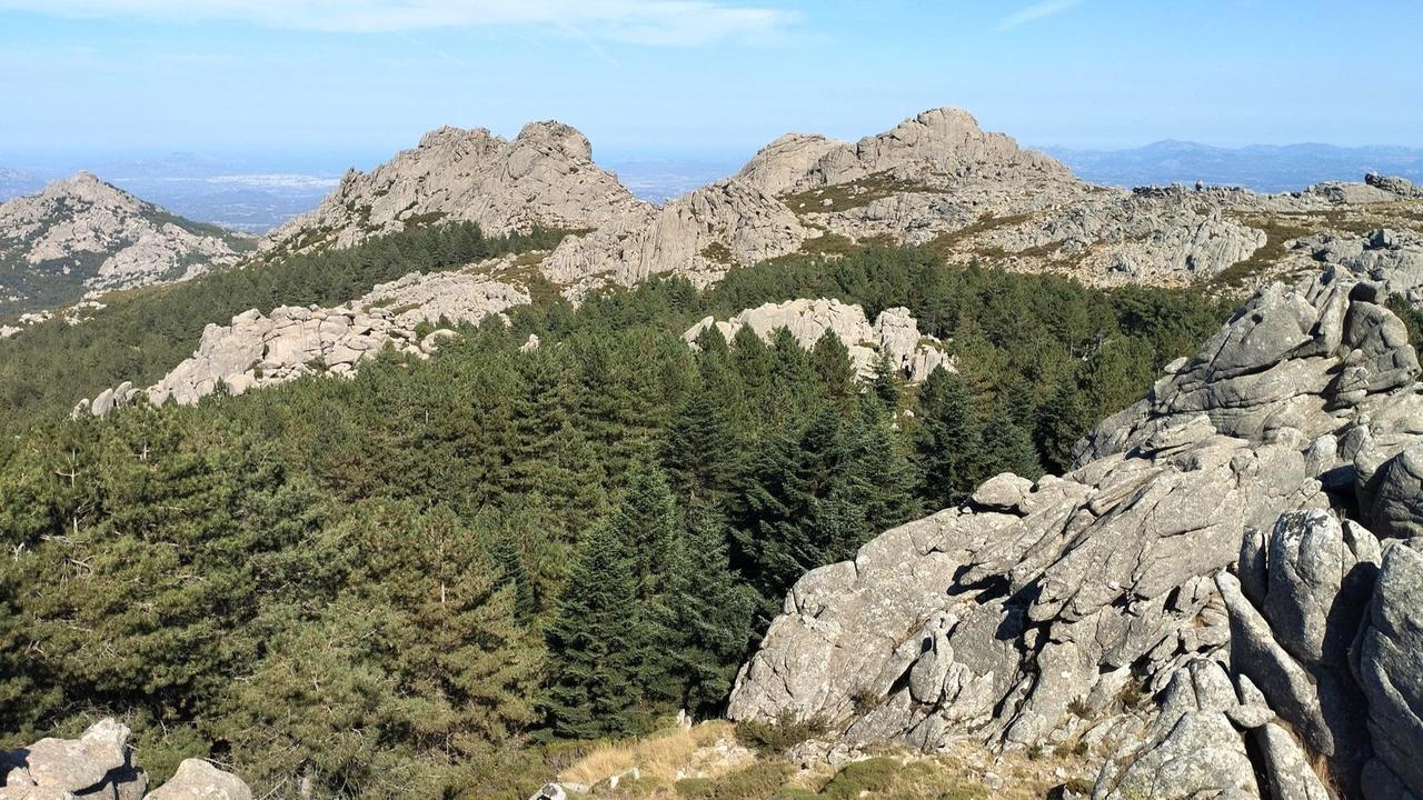 Limbara e menù a base di funghi: a Tempio c’è la Festa d’autunno