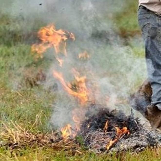 Piana di Lucca, contrasto alle polveri sottili: vietato bruciare sterpaglie e sfalci<br>
