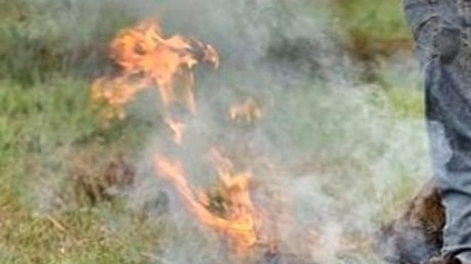 Piana di Lucca, contrasto alle polveri sottili: vietato bruciare sterpaglie e sfalci<br>