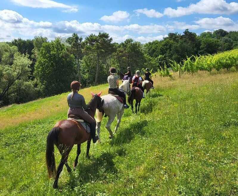 Pontremoli, bambina cadde da cavallo e si ruppe un braccio: risarcita con 25mila euro