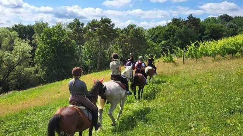 Pontremoli, bambina cadde da cavallo e si ruppe un braccio: risarcita con 25mila euro