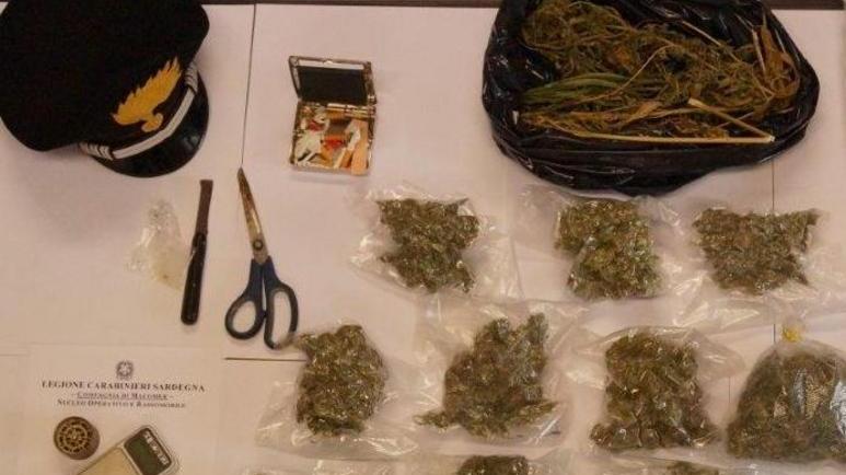 Cannabis in casa, 35enne finisce agli arresti domiciliari
