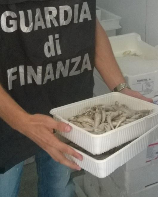 Sequestrati prodotti ittici scaduti 