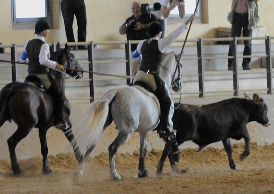 Sport e spettacolo all’interno di Cortes apertas
