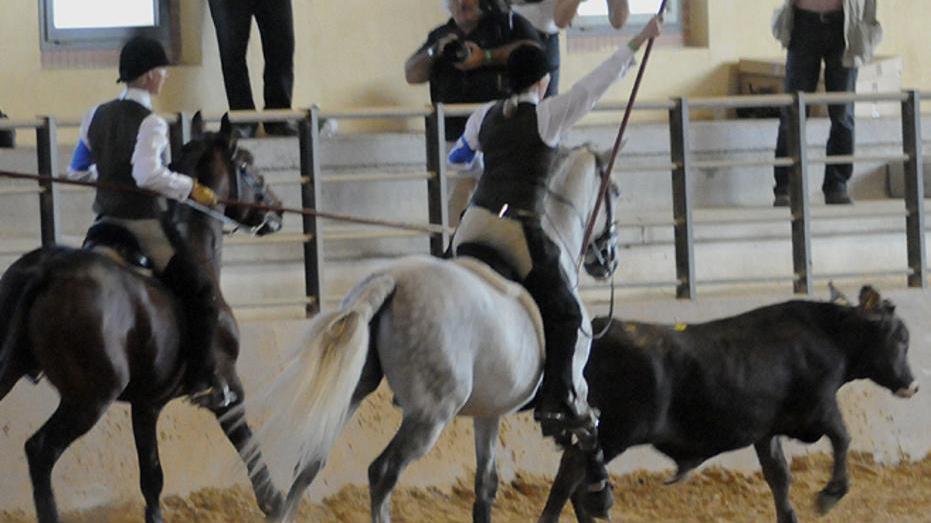 Sport e spettacolo all’interno di Cortes apertas