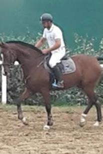 Il cavallo Soccore primo a Santa Giusta