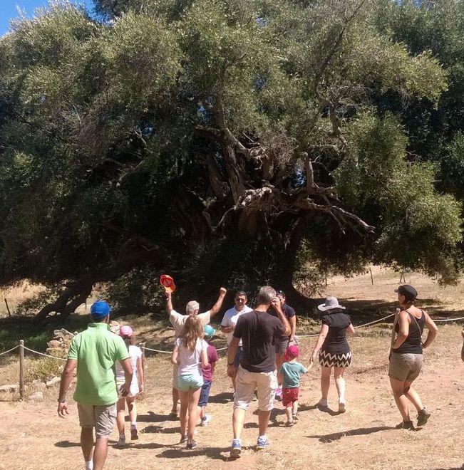 Gli operatori fanno sistema di fronte al boom di stranieri
