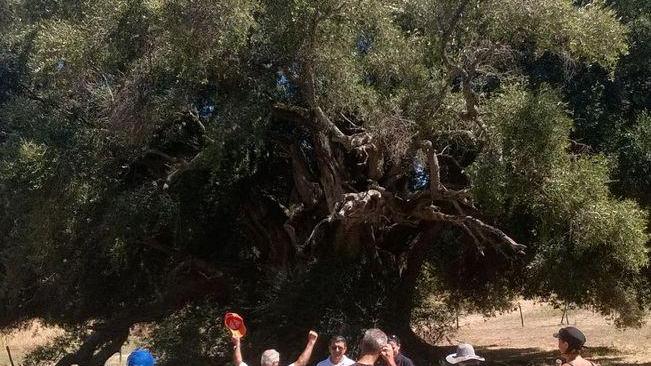 Gli operatori fanno sistema di fronte al boom di stranieri