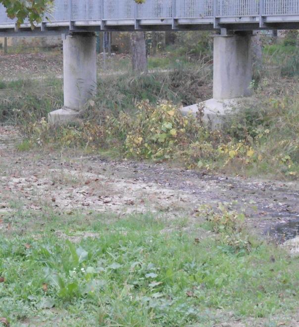 Tolto sbarramento all’area sequestrata lungo il Tiepido