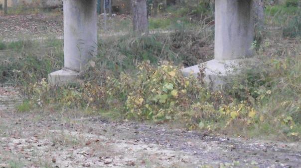 Tolto sbarramento all’area sequestrata lungo il Tiepido