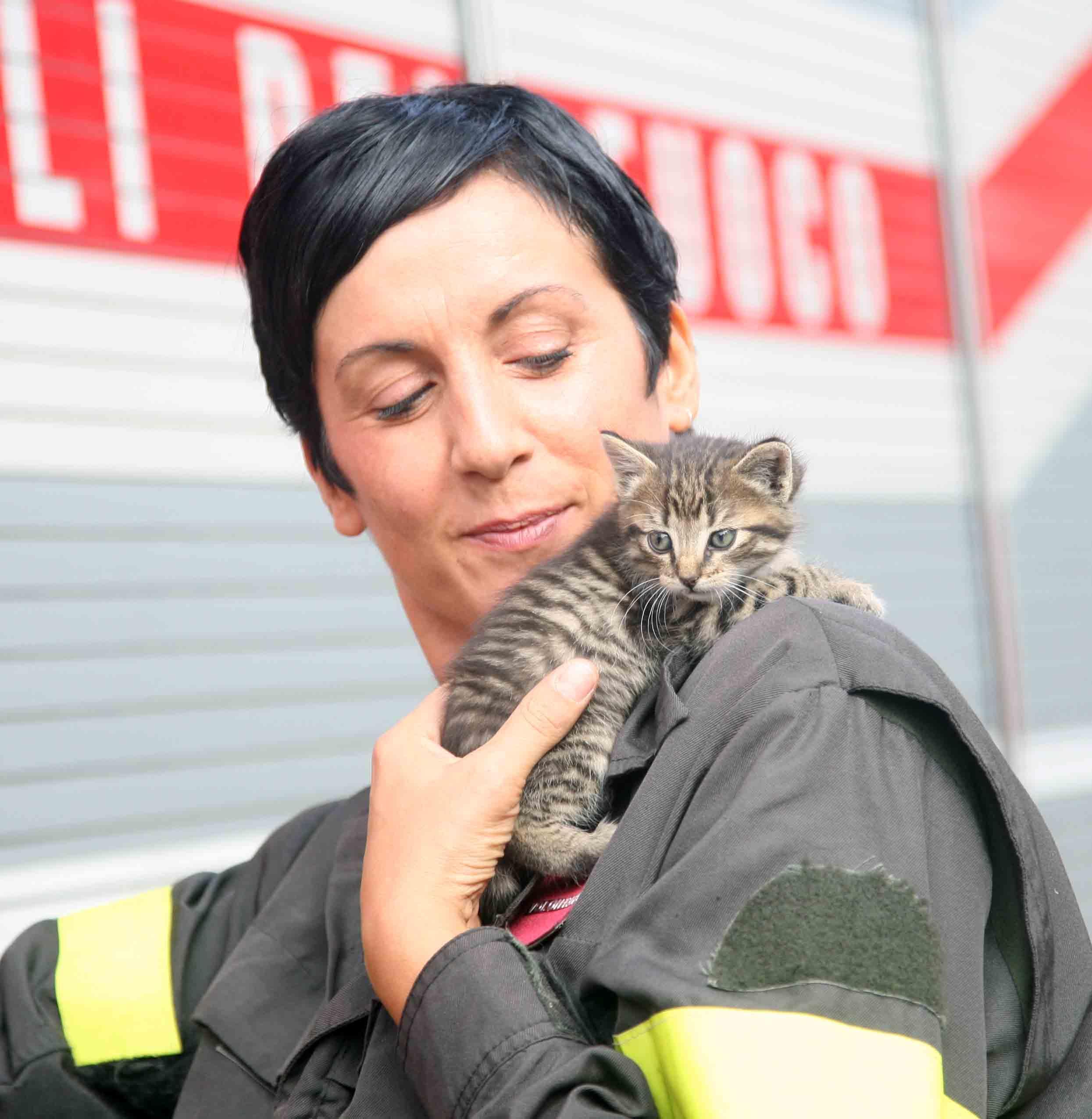 Micio abbandonato salvato e adottato dai pompieri