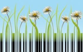Ambiente, acquisti verdi per il Comune 