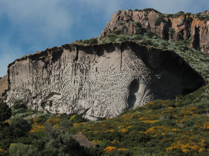 Villanova, progetto per l’oasi dei grifoni 