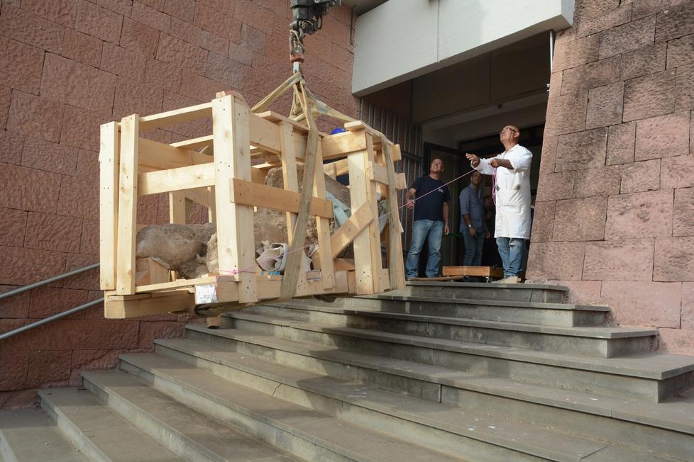 Il primo pugilatore di Mont’e Prama in salvo al museo di Cabras 