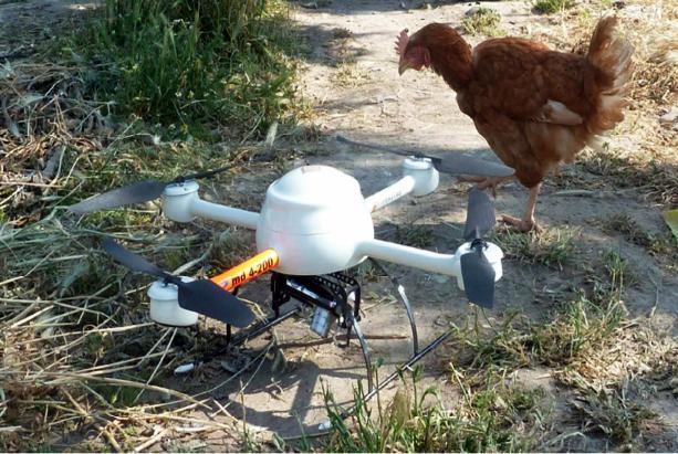 I coltivatori trovano un nuovo alleato: il drone 