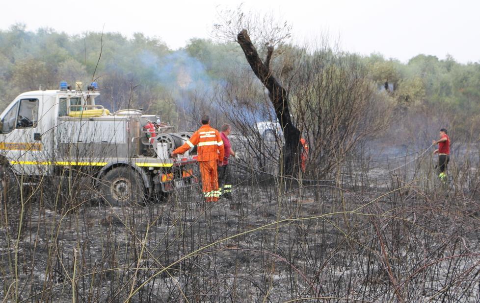 Un incendio danneggia gli oliveti 