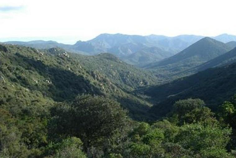 Parco di Gutturu Mannu: il Wwf rischia l’esclusione 
