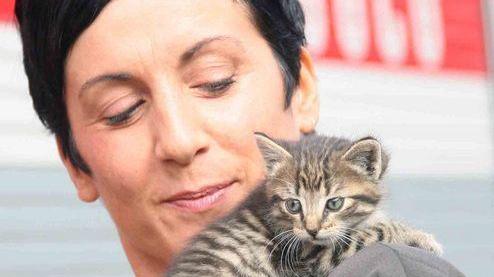 I pompieri salvano un gattino