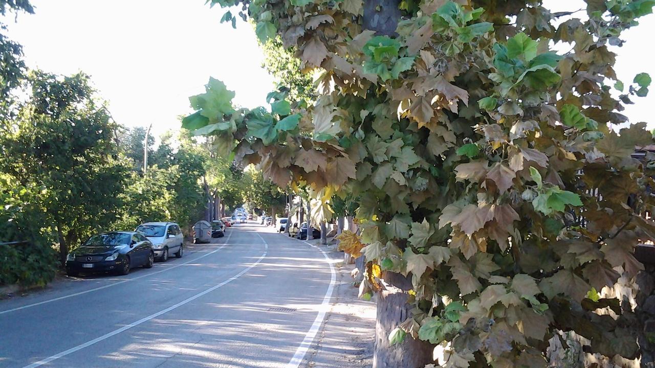 L'abitato di Fonteblanda