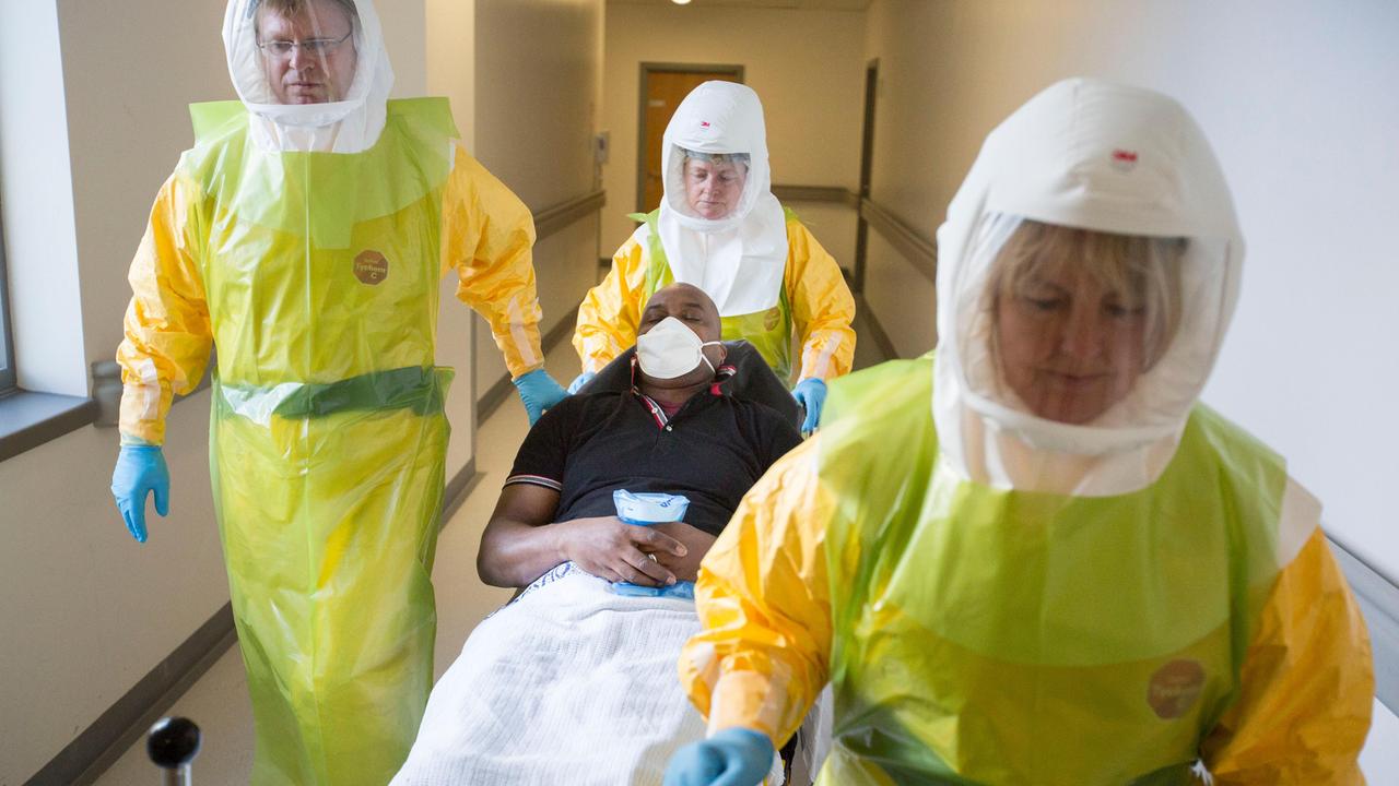Ebola, una speranza per la cura parte da Reggio