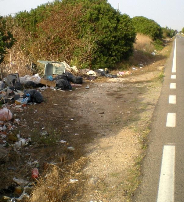 Cumuli di sacchetti di rifiuti lungo la strada provinciale