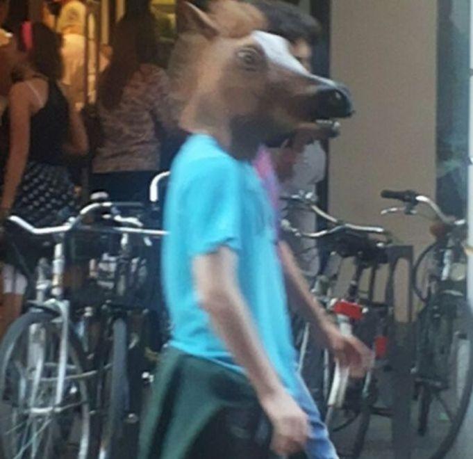 È già Halloween? In centro si aggira la testa di cavallo 
