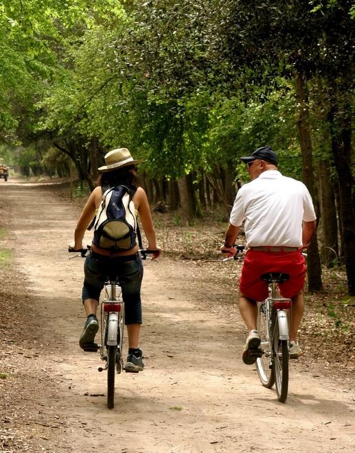 Una pista ciclabile a fianco del Boscone fino alla Romanina