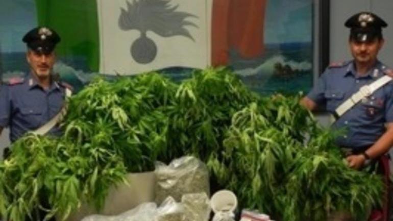 Arrestato all’aeroporto il coltivatore della droga