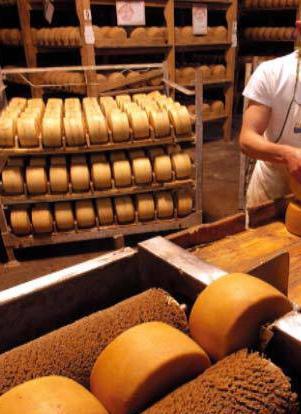 L’agroalimentare settore trainante al posto del tessile 