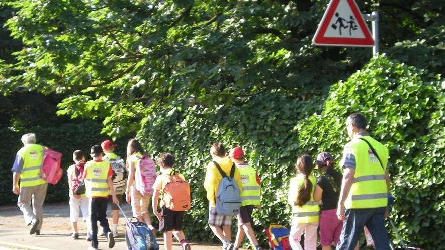 Il Bimbibus è ripartito con quasi cento bambini
