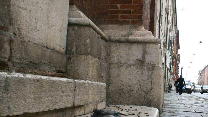 Piccioni morti non rimossi