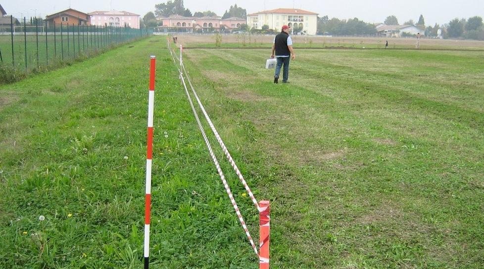 Nuovi alberi e siepi in quattro aree verdi comunali