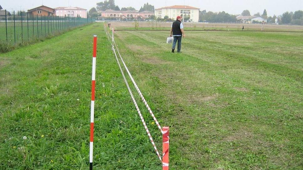 Nuovi alberi e siepi in quattro aree verdi comunali